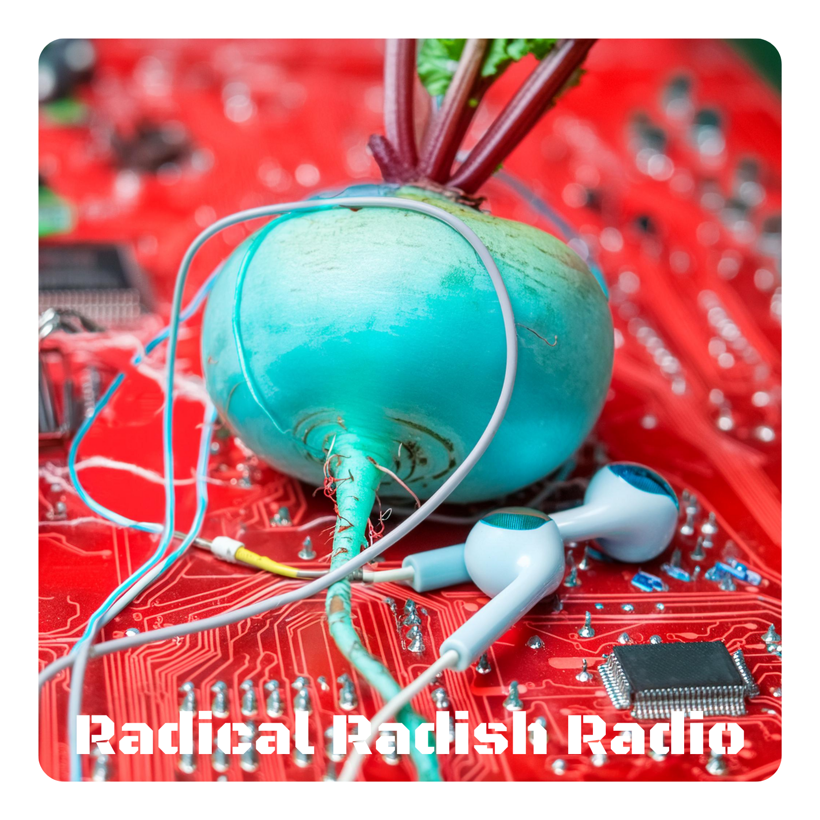 Radical Radish Radio